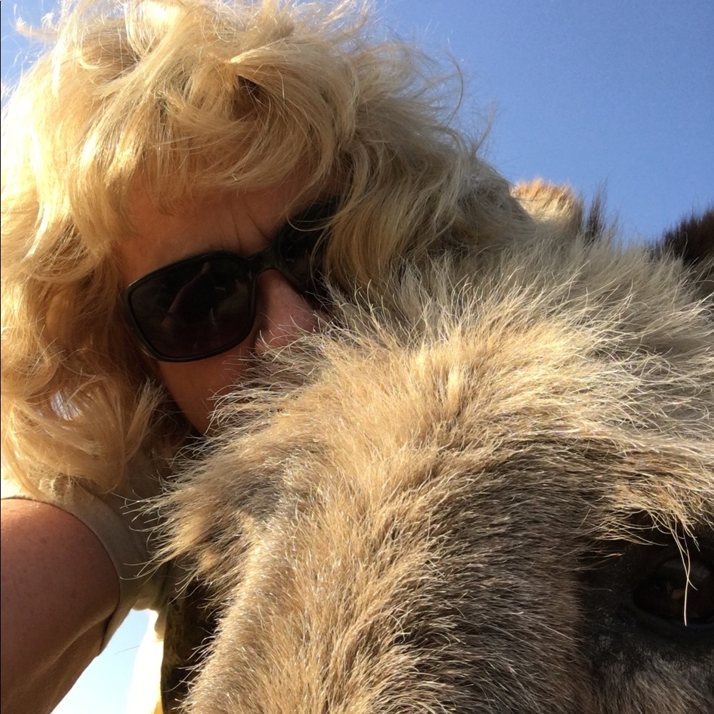 Meet your Posher, Linda